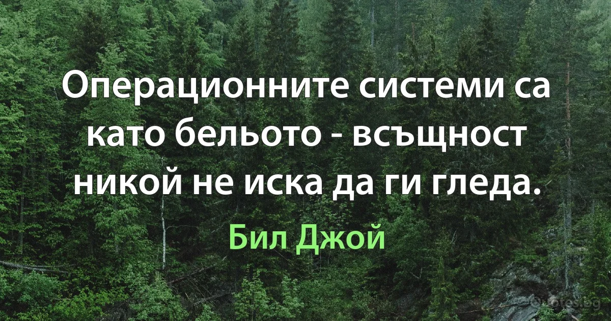 Операционните системи са като бельото - всъщност никой не иска да ги гледа. (Бил Джой)