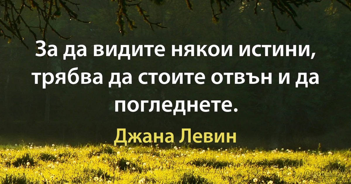 За да видите някои истини, трябва да стоите отвън и да погледнете. (Джана Левин)