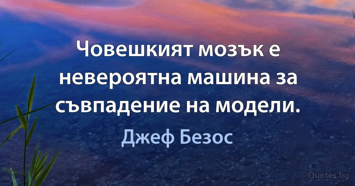 Човешкият мозък е невероятна машина за съвпадение на модели. (Джеф Безос)