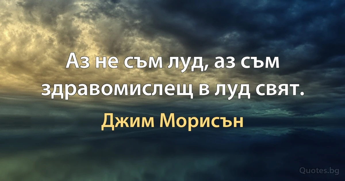 Аз не съм луд, аз съм здравомислещ в луд свят. (Джим Морисън)