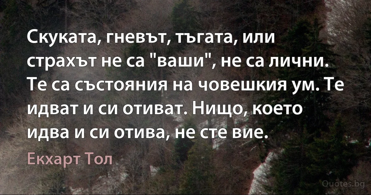 Скуката, гневът, тъгата, или страхът не са "ваши", не са лични. Те са състояния на човешкия ум. Те идват и си отиват. Нищо, което идва и си отива, не сте вие. (Екхарт Тол)