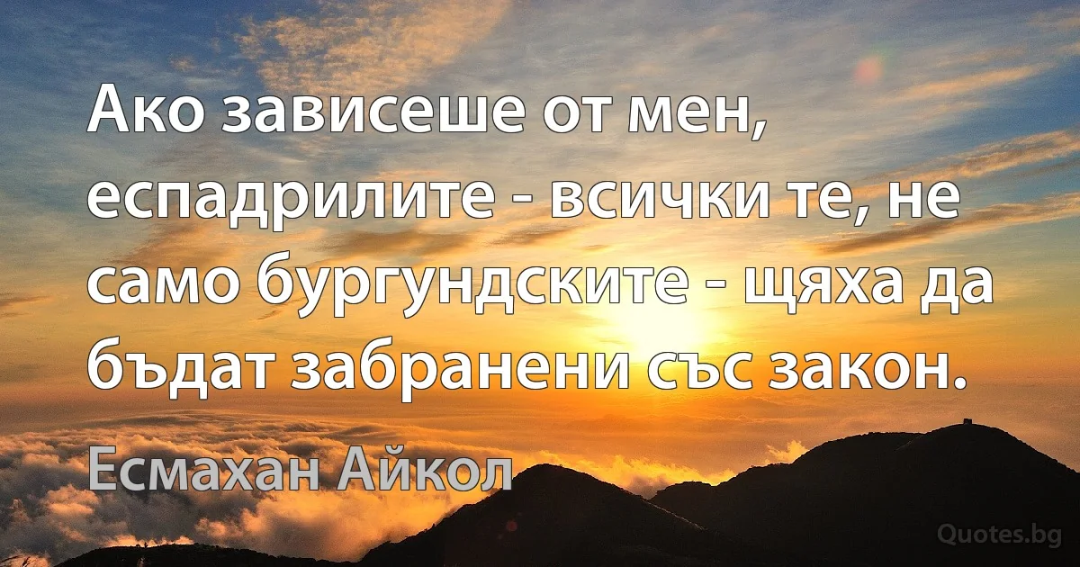 Ако зависеше от мен, еспадрилите - всички те, не само бургундските - щяха да бъдат забранени със закон. (Есмахан Айкол)