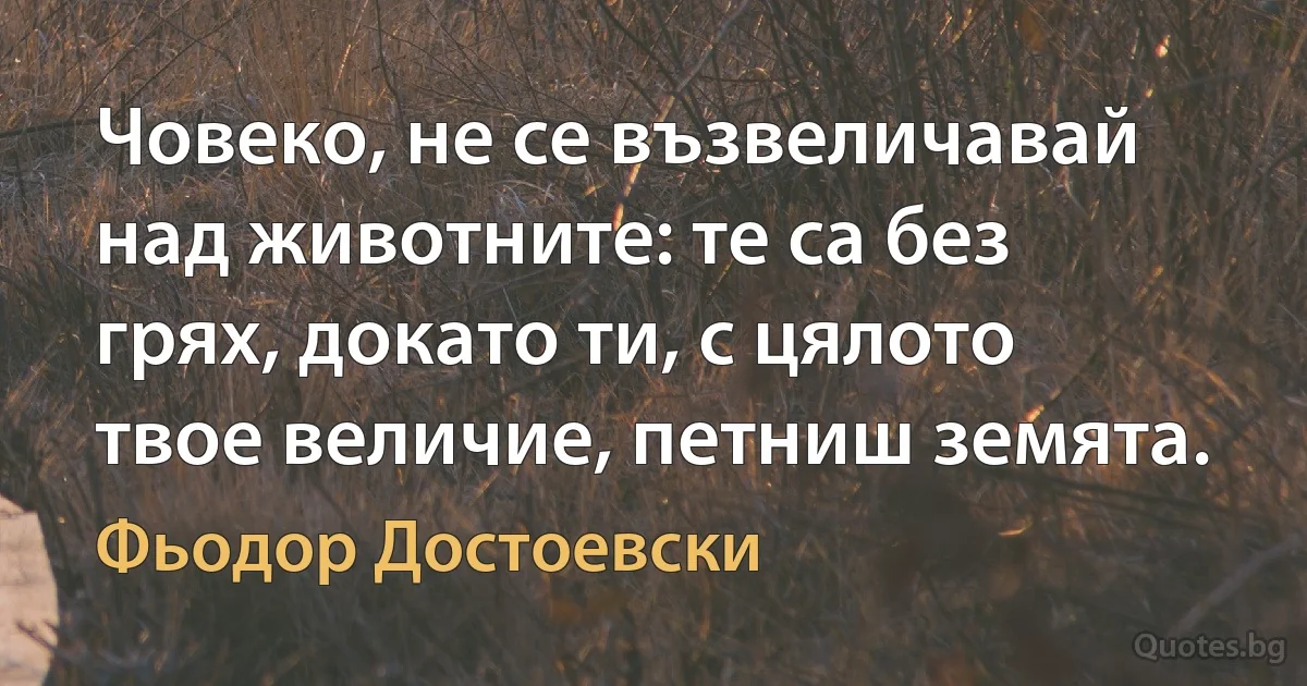 Човеко, не се възвеличавай над животните: те са без грях, докато ти, с цялото твое величие, петниш земята. (Фьодор Достоевски)