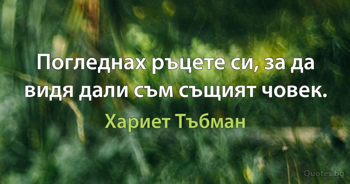 Погледнах ръцете си, за да видя дали съм същият човек. (Хариет Тъбман)