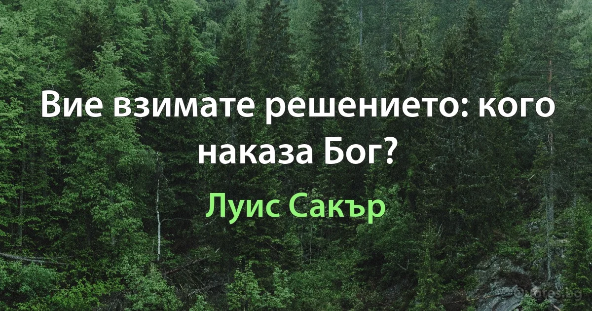 Вие взимате решението: кого наказа Бог? (Луис Сакър)