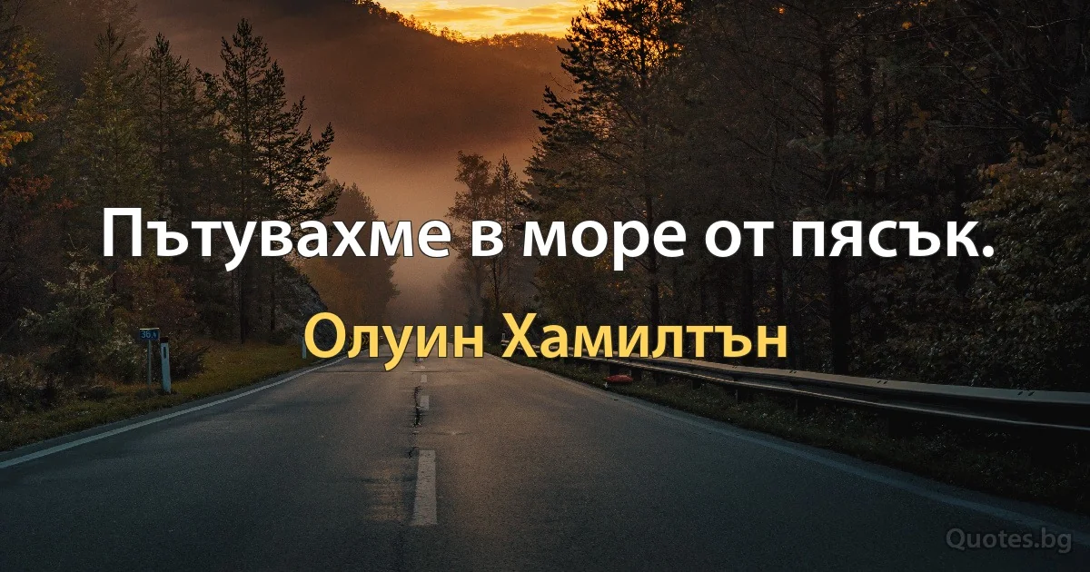 Пътувахме в море от пясък. (Олуин Хамилтън)