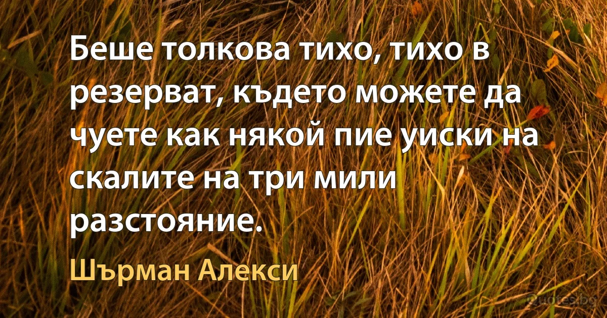 Беше толкова тихо, тихо в резерват, където можете да чуете как някой пие уиски на скалите на три мили разстояние. (Шърман Алекси)