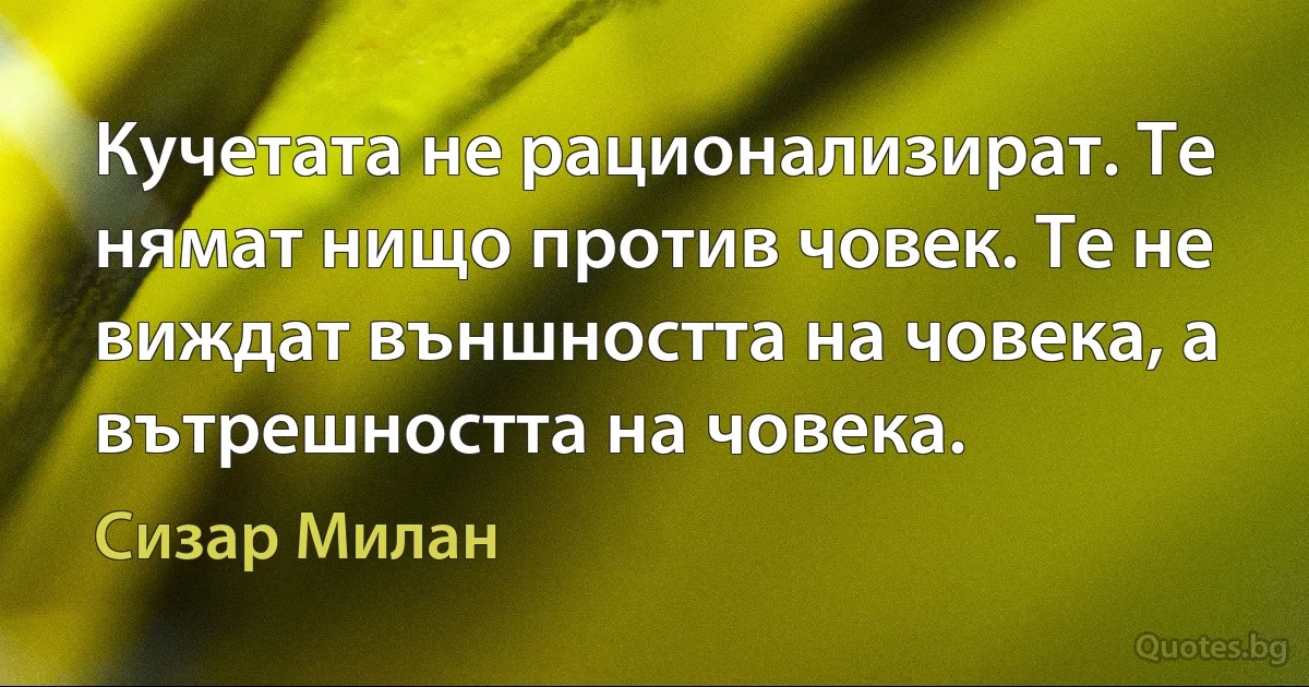 Кучетата не рационализират. Те нямат нищо против човек. Те не виждат външността на човека, а вътрешността на човека. (Сизар Милан)