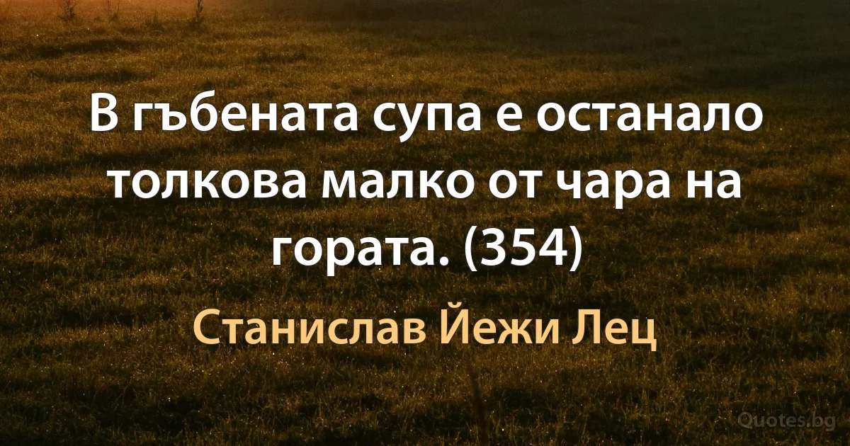 В гъбената супа е останало толкова малко от чара на гората. (354) (Станислав Йежи Лец)