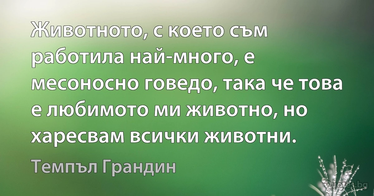 Животното, с което съм работила най-много, е месоносно говедо, така че това е любимото ми животно, но харесвам всички животни. (Темпъл Грандин)