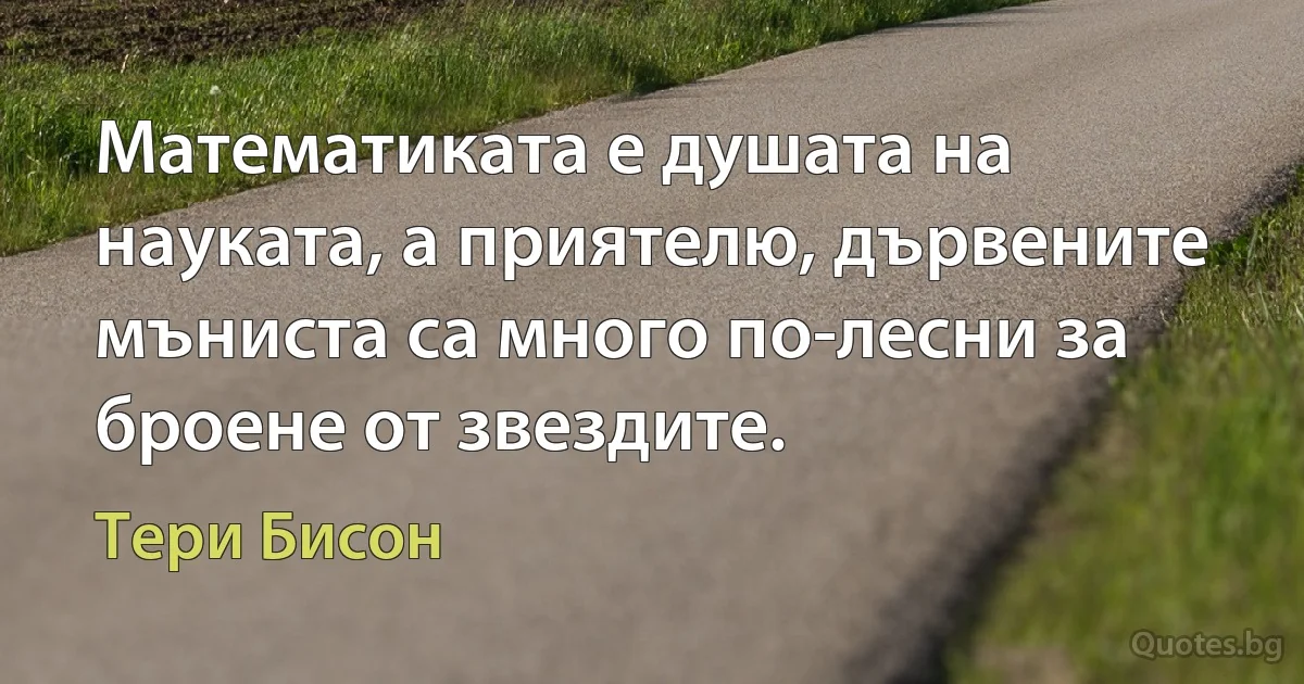 Математиката е душата на науката, а приятелю, дървените мъниста са много по-лесни за броене от звездите. (Тери Бисон)