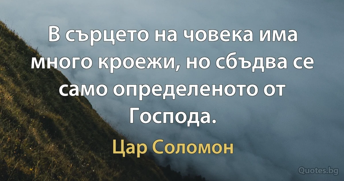 В сърцето на човека има много кроежи, но сбъдва се само определеното от Господа. (Цар Соломон)