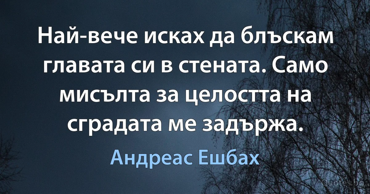 Най-вече исках да блъскам главата си в стената. Само мисълта за целостта на сградата ме задържа. (Андреас Ешбах)