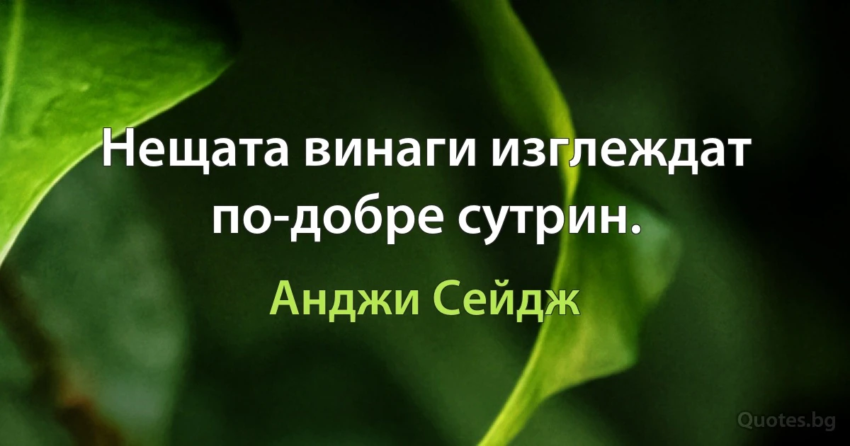 Нещата винаги изглеждат по-добре сутрин. (Анджи Сейдж)