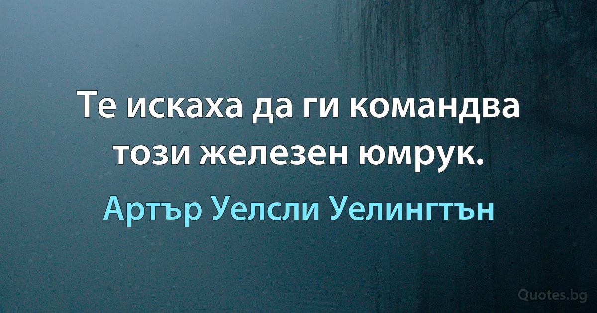 Те искаха да ги командва този железен юмрук. (Артър Уелсли Уелингтън)