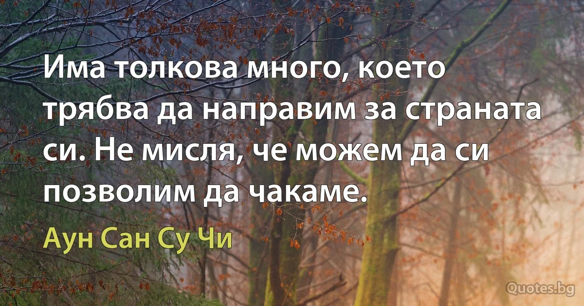 Има толкова много, което трябва да направим за страната си. Не мисля, че можем да си позволим да чакаме. (Аун Сан Су Чи)