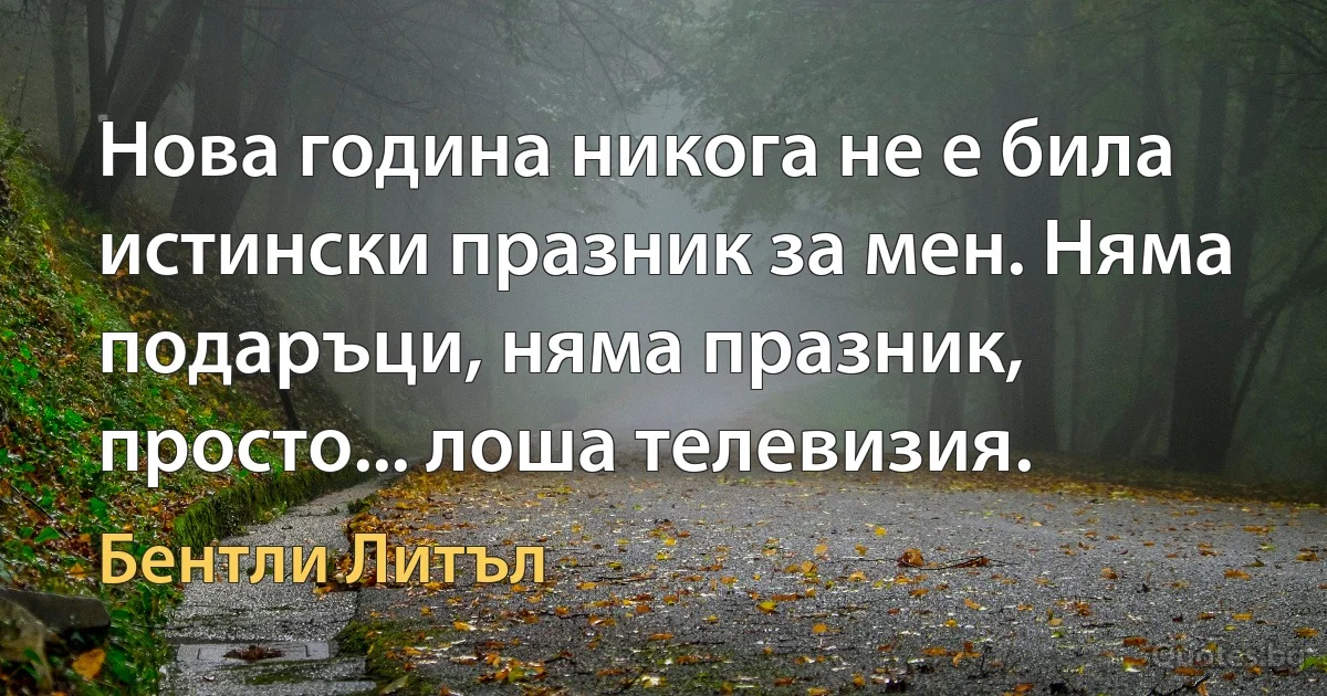 Нова година никога не е била истински празник за мен. Няма подаръци, няма празник, просто... лоша телевизия. (Бентли Литъл)