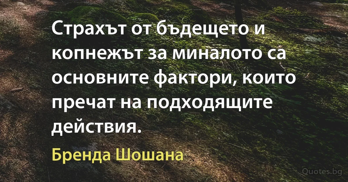 Страхът от бъдещето и копнежът за миналото са основните фактори, които пречат на подходящите действия. (Бренда Шошана)