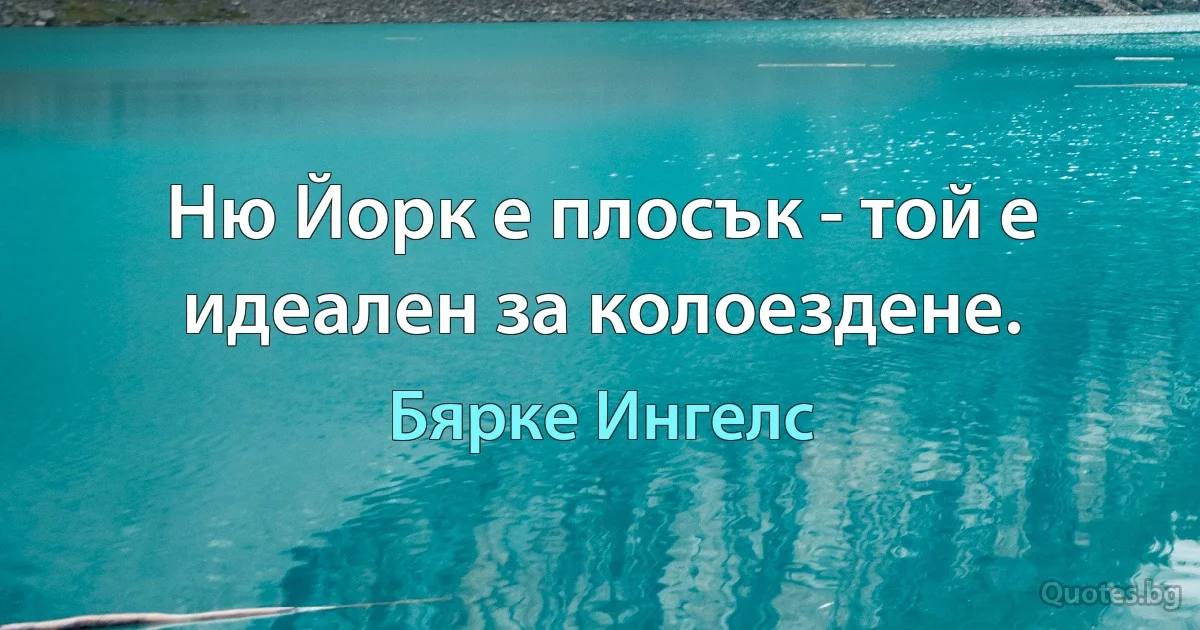 Ню Йорк е плосък - той е идеален за колоездене. (Бярке Ингелс)