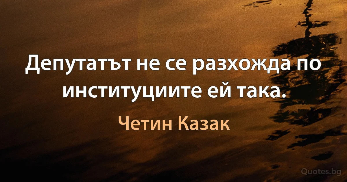 Депутатът не се разхожда по институциите ей така. (Четин Казак)