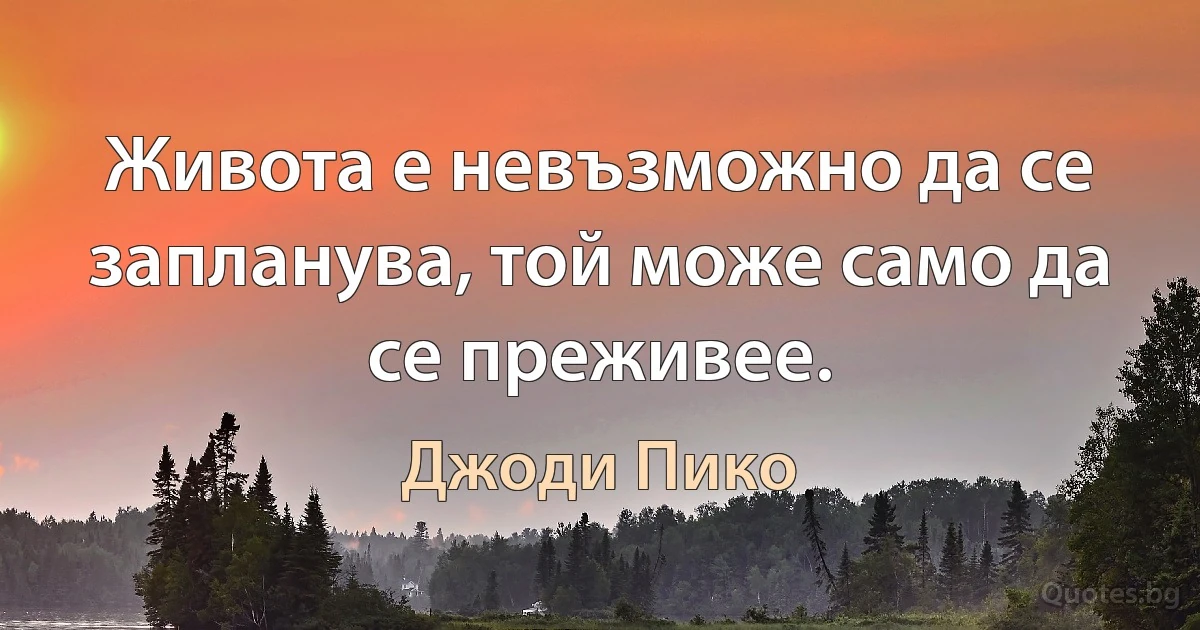 Живота е невъзможно да се запланува, той може само да се преживее. (Джоди Пико)