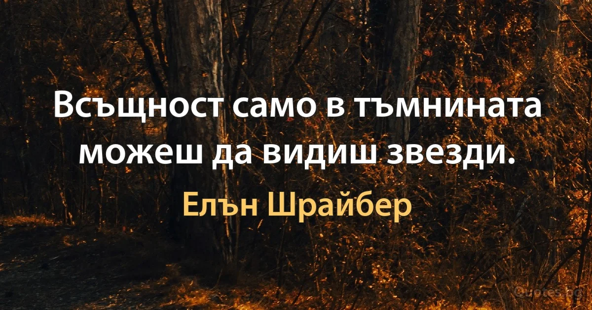 Всъщност само в тъмнината можеш да видиш звезди. (Елън Шрайбер)