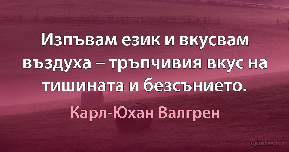 Изпъвам език и вкусвам въздуха – тръпчивия вкус на тишината и безсънието. (Карл-Юхан Валгрен)