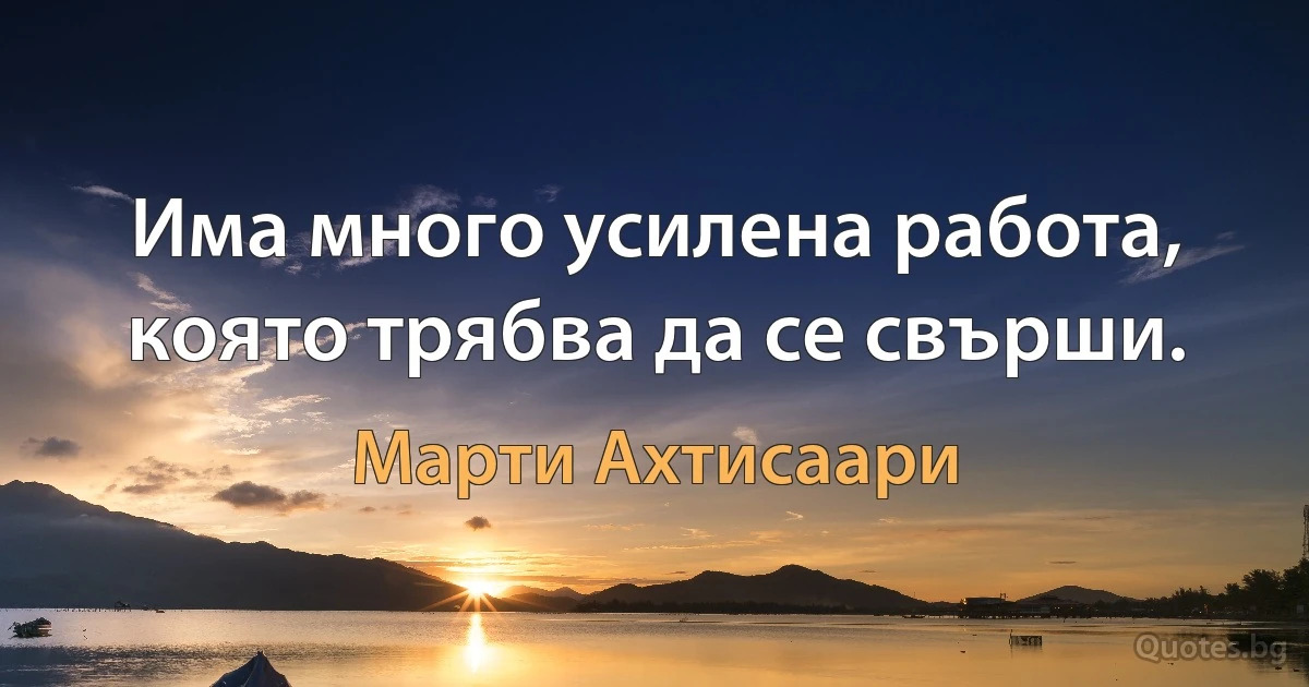 Има много усилена работа, която трябва да се свърши. (Марти Ахтисаари)