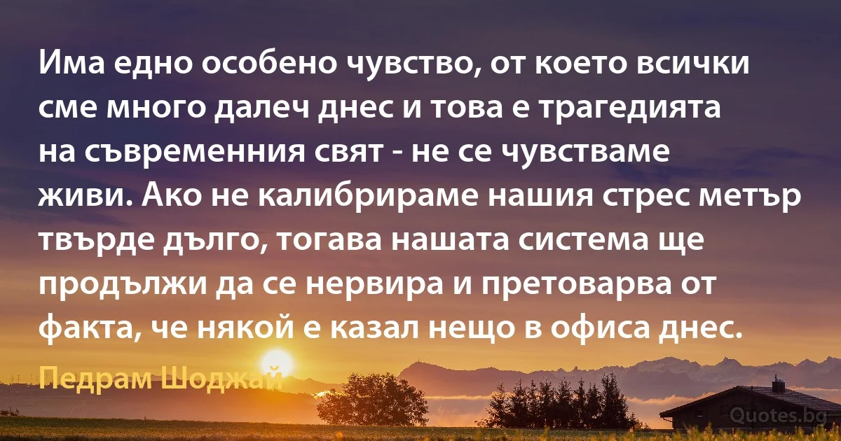 Има едно особено чувство, от което всички сме много далеч днес и това е трагедията на съвременния свят - не се чувстваме живи. Ако не калибрираме нашия стрес метър твърде дълго, тогава нашата система ще продължи да се нервира и претоварва от факта, че някой е казал нещо в офиса днес. (Педрам Шоджай)