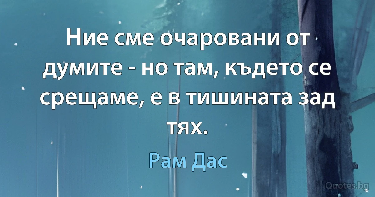 Ние сме очаровани от думите - но там, където се срещаме, е в тишината зад тях. (Рам Дас)