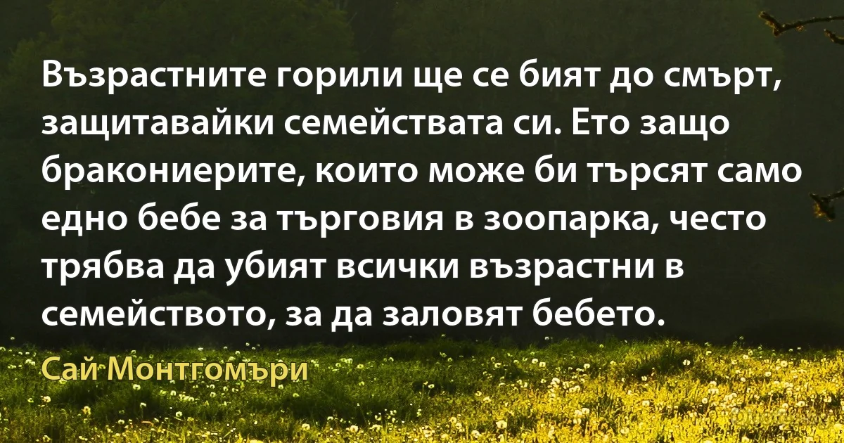 Възрастните горили ще се бият до смърт, защитавайки семействата си. Ето защо бракониерите, които може би търсят само едно бебе за търговия в зоопарка, често трябва да убият всички възрастни в семейството, за да заловят бебето. (Сай Монтгомъри)