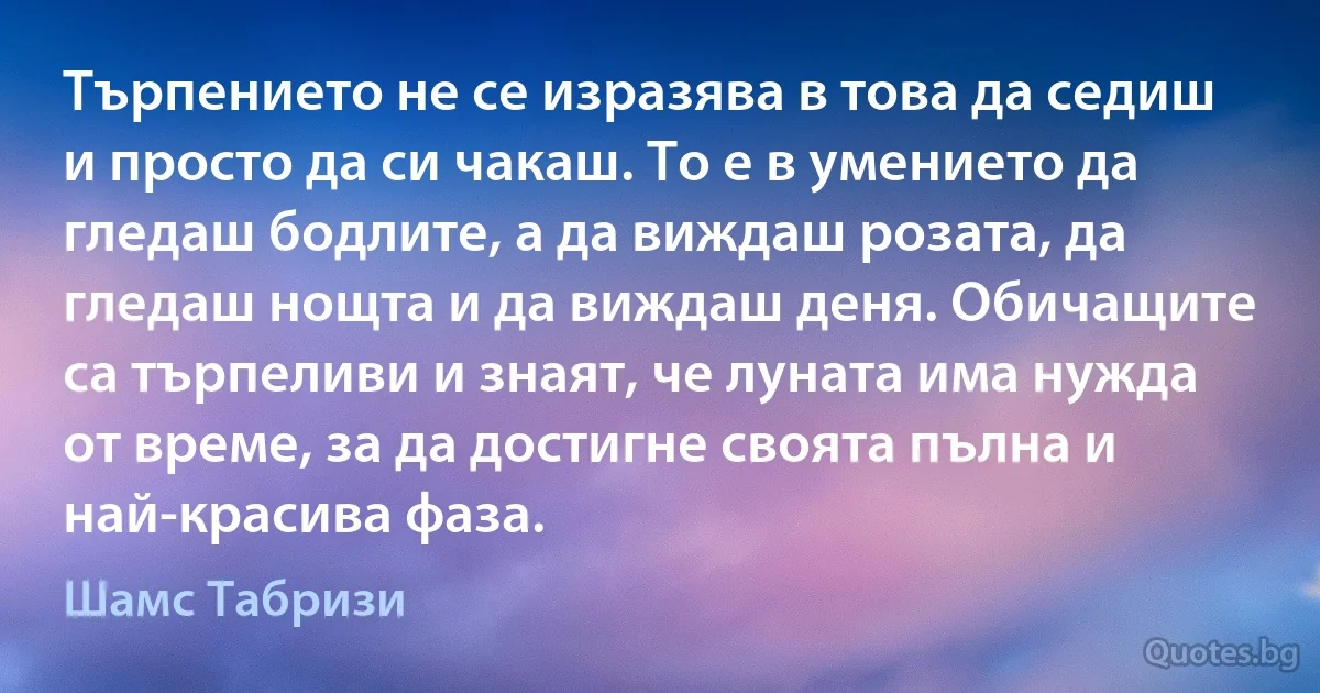 Търпението не се изразява в това да седиш и просто да си чакаш. То е в умението да гледаш бодлите, а да виждаш розата, да гледаш нощта и да виждаш деня. Обичащите са търпеливи и знаят, че луната има нужда от време, за да достигне своята пълна и най-красива фаза. (Шамс Табризи)