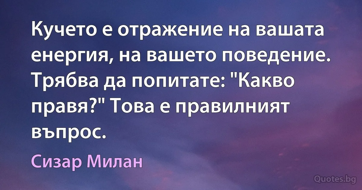 Кучето е отражение на вашата енергия, на вашето поведение. Трябва да попитате: "Какво правя?" Това е правилният въпрос. (Сизар Милан)