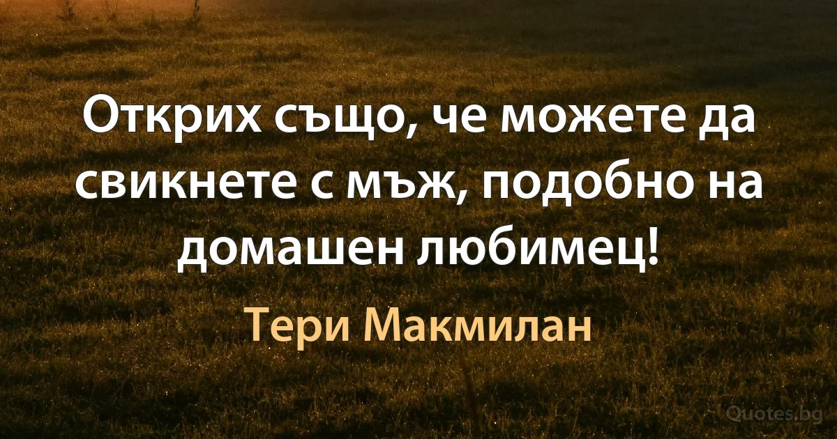 Открих също, че можете да свикнете с мъж, подобно на домашен любимец! (Тери Макмилан)