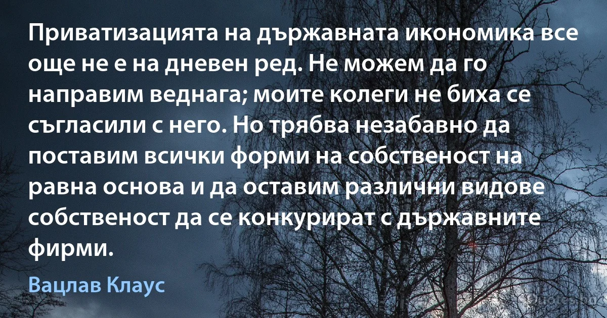 Приватизацията на държавната икономика все още не е на дневен ред. Не можем да го направим веднага; моите колеги не биха се съгласили с него. Но трябва незабавно да поставим всички форми на собственост на равна основа и да оставим различни видове собственост да се конкурират с държавните фирми. (Вацлав Клаус)