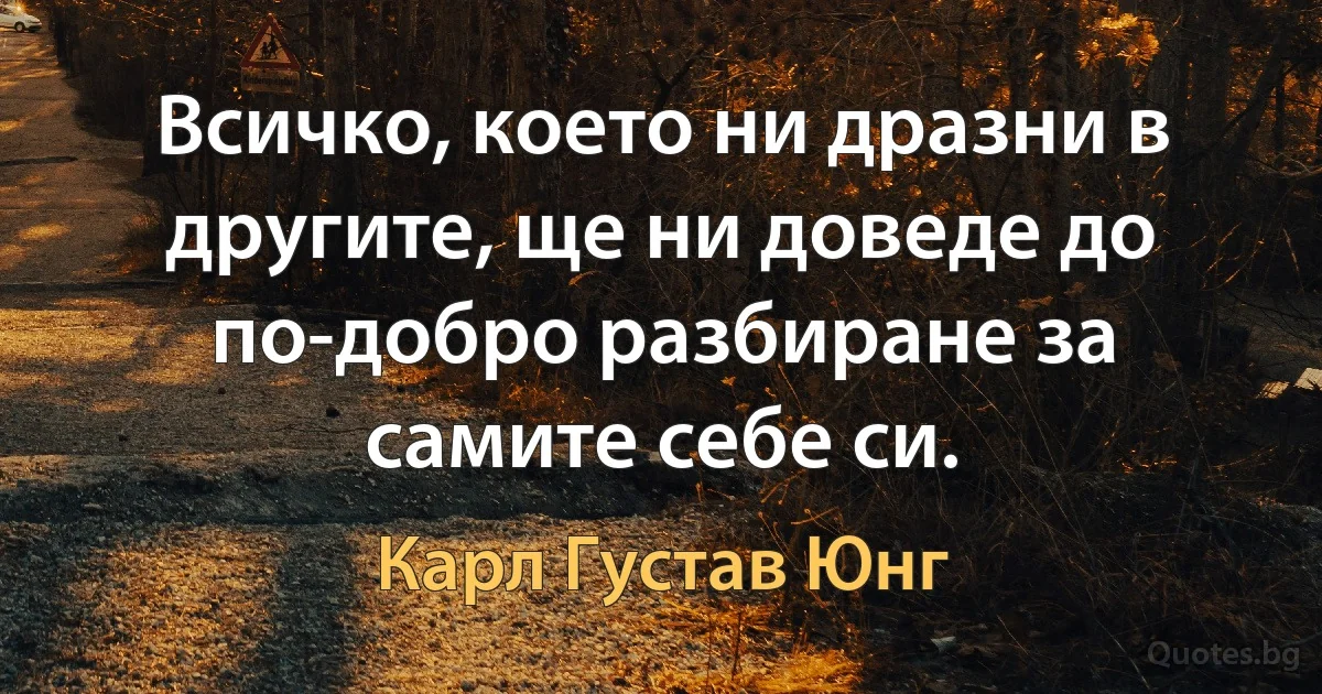 Всичко, което ни дразни в другите, ще ни доведе до по-добро разбиране за самите себе си. (Карл Густав Юнг)