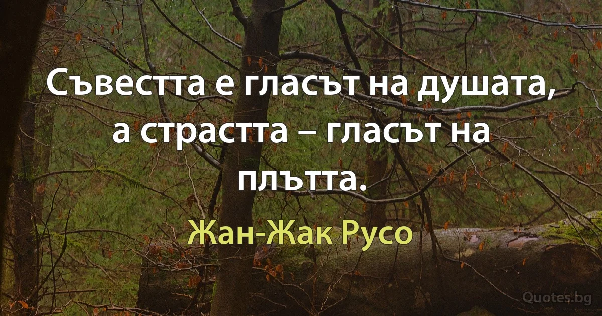 Съвестта е гласът на душата, а страстта – гласът на плътта. (Жан-Жак Русо)