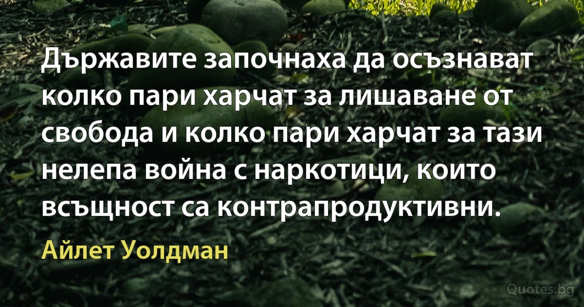 Държавите започнаха да осъзнават колко пари харчат за лишаване от свобода и колко пари харчат за тази нелепа война с наркотици, които всъщност са контрапродуктивни. (Айлет Уолдман)