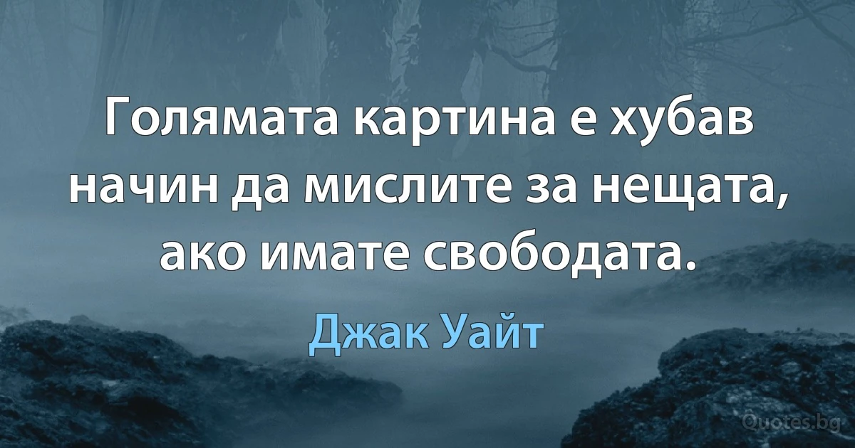 Голямата картина е хубав начин да мислите за нещата, ако имате свободата. (Джак Уайт)