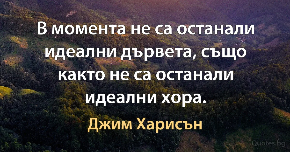 В момента не са останали идеални дървета, също както не са останали идеални хора. (Джим Харисън)