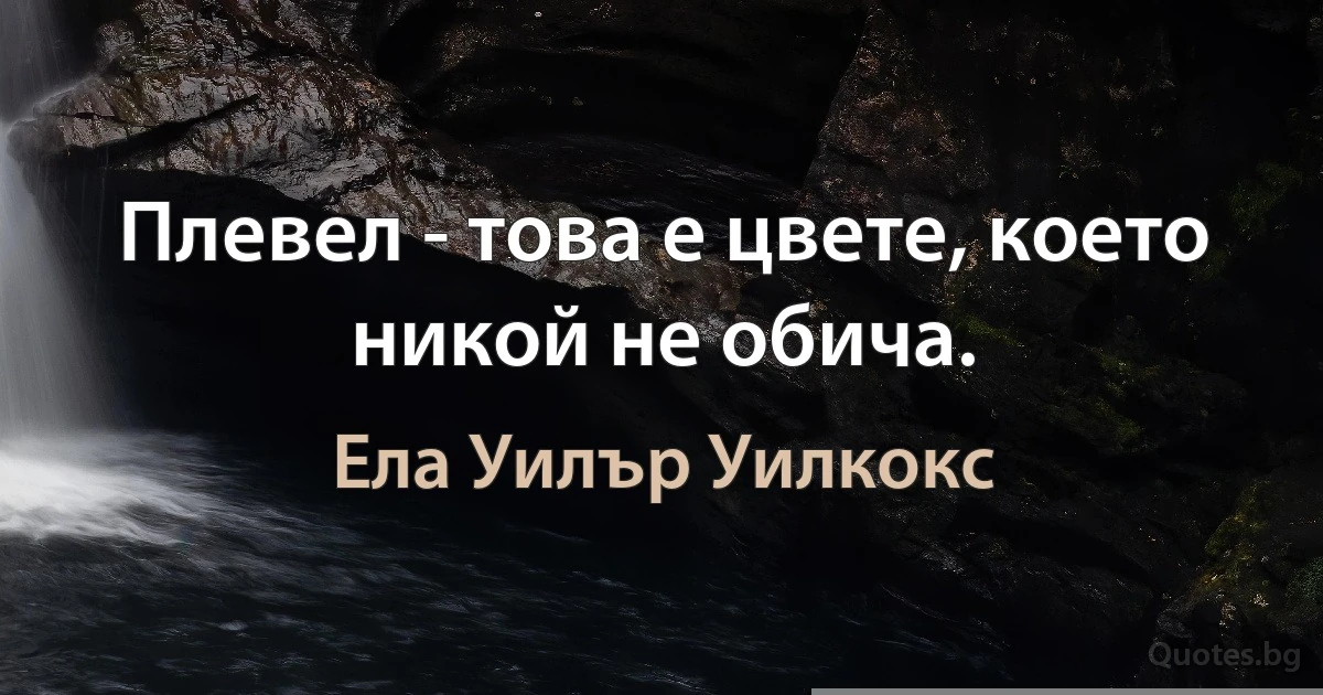 Плевел - това е цвете, което никой не обича. (Ела Уилър Уилкокс)