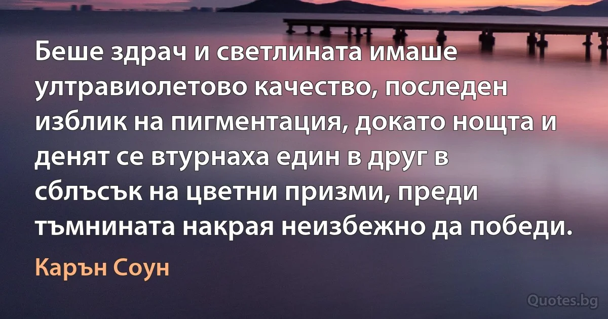 Беше здрач и светлината имаше ултравиолетово качество, последен изблик на пигментация, докато нощта и денят се втурнаха един в друг в сблъсък на цветни призми, преди тъмнината накрая неизбежно да победи. (Карън Соун)