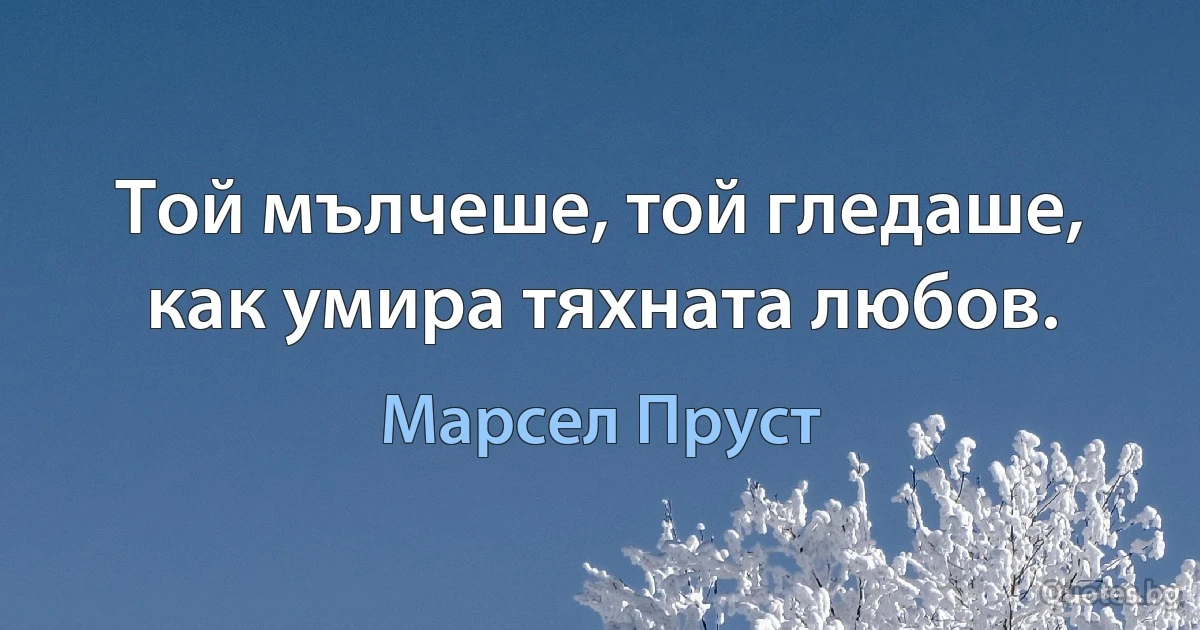 Той мълчеше, той гледаше, как умира тяхната любов. (Марсел Пруст)