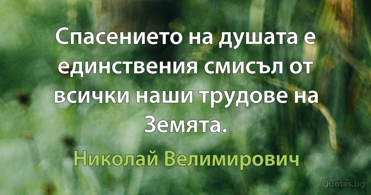 Спасението на душата е единствения смисъл от всички наши трудове на Земята. (Николай Велимирович)