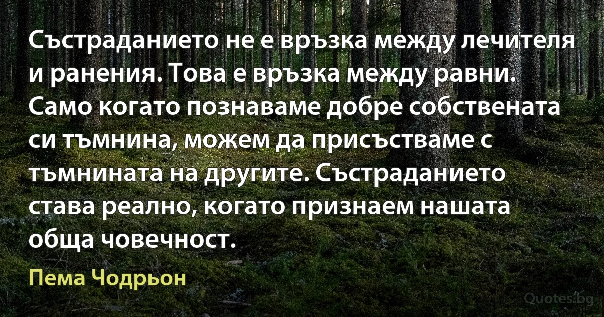 Състраданието не е връзка между лечителя и ранения. Това е връзка между равни. Само когато познаваме добре собствената си тъмнина, можем да присъстваме с тъмнината на другите. Състраданието става реално, когато признаем нашата обща човечност. (Пема Чодрьон)