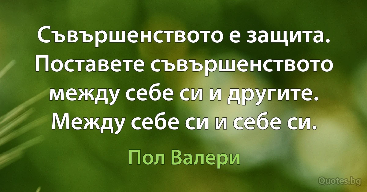 Съвършенството е защита. Поставете съвършенството между себе си и другите. Между себе си и себе си. (Пол Валери)