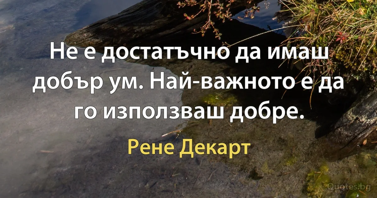 Не е достатъчно да имаш добър ум. Най-важното е да го използваш добре. (Рене Декарт)