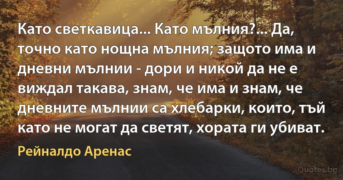 Като светкавица... Като мълния?... Да, точно като нощна мълния; защото има и дневни мълнии - дори и никой да не е виждал такава, знам, че има и знам, че дневните мълнии са хлебарки, които, тъй като не могат да светят, хората ги убиват. (Рейналдо Аренас)