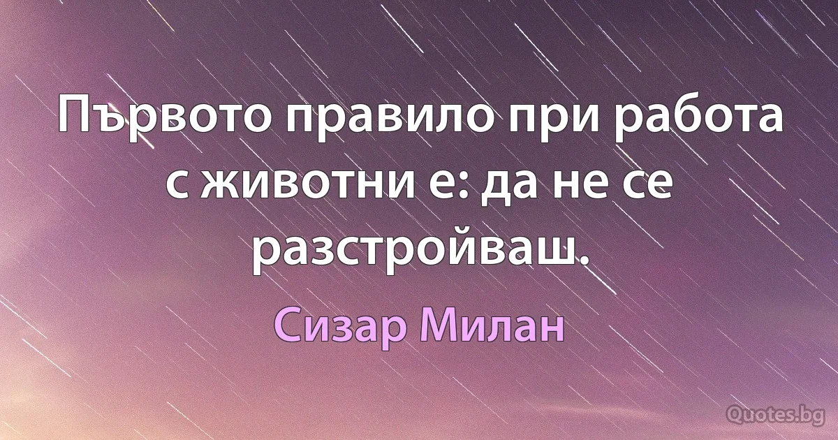 Първото правило при работа с животни е: да не се разстройваш. (Сизар Милан)