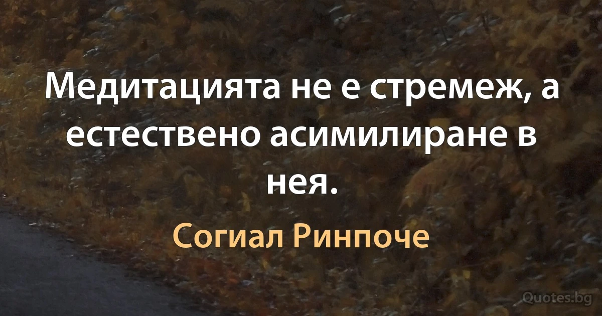 Медитацията не е стремеж, а естествено асимилиране в нея. (Согиал Ринпоче)